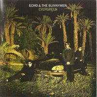 Purchase Echo & The Bunnymen - Evergreen