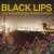 Buy Black Lips - Los Valientes Del Mundo Nuevo Mp3 Download