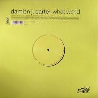 Purchase Damien J Carter - What World (Maxi)