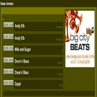 Purchase DJ Zappi - Big City Beats (bigFM)-04-08-CABLE-2007