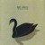 Buy Bert Jansch - The Black Swan Mp3 Download