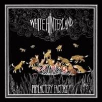 Purchase White Hinterland - Phylactery Factory