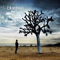 Purchase Bluetree - God Of This City