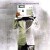 Buy Q-Tip - The Renaissance (UK Edition) Mp3 Download