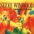 Buy Steve Winwood - Talking Back To The Night Mp3 Download