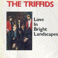 Purchase The Triffids - Love in bright landscapes