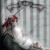Purchase Emilie Autumn- Laced Unlaced CD1 MP3