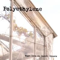 Purchase Polyethylene - What Goes on Inside Houses