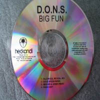 Purchase D.O.N.S. - Big Fun (Remixes) CDM