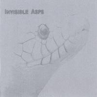 Purchase Invisible Asps - Black Curtain Lodge