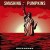 Buy The Smashing Pumpkins - Zeitgeist (Deluxe Edition) Mp3 Download