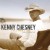 Buy Kenny Chesney - Just Who I Am: Poets And Pirates Mp3 Download
