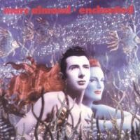 Purchase Marc Almond - Enchanted