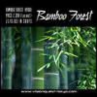 Purchase Bamboo Forest - Bamboo Forest