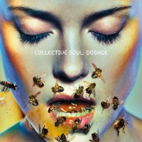 Purchase Collective Soul - Dosage