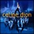 Purchase Celine Dion- A New Day (Live In Las Vegas) MP3