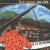 Buy Ensemble Orland Gibbons - Dowland Ayres Mp3 Download