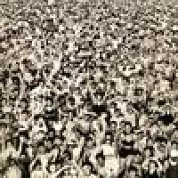 Purchase George Michael - Listen Without Prejudice Vol,1