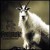 Buy Goatsnake - Trampled Under Hoof Mp3 Download