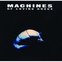 Purchase Machines of Loving Grace - Concentration