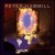 Buy Peter Hammill - Roaring Forties Mp3 Download