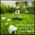Buy Snow Patrol - Songs for Polar Bears Mp3 Download