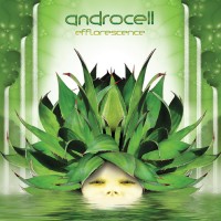 Purchase Androcell - Efflorescence