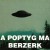 Buy Apoptygma Berzerk - Eclipse (CDS) Mp3 Download