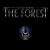 Buy David Byrne - The Forest Mp3 Download