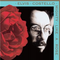 Purchase Elvis Costello - Mighty Like a Rose