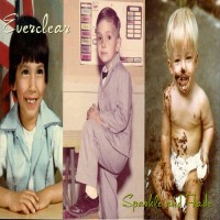 Purchase Everclear - Sparkle And Fade