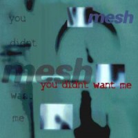 Purchase Mesh - You Didn't Want Me (CDS)
