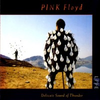 Purchase Pink Floyd - Delicate Sound Of Thunder CD1