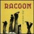 Buy racoon - Another Day Mp3 Download