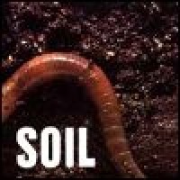 Purchase Soil - Soil