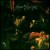 Buy Sopor Aeternus - Todeswunsch - Souls La Soleil De Saturne Mp3 Download