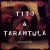Buy Tito & Tarantula - Tarantism Mp3 Download