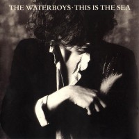 Purchase The Waterboys - This Is The Sea CD1