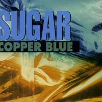 Purchase sugar - Copper Blue