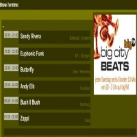 Purchase Sandy Rivera - Big City Beats (bigFM)-01-06-C
