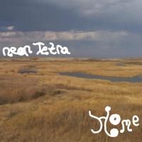 Purchase Neon Tetra - Home
