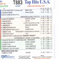 Purchase VA - Top Hits USA T883