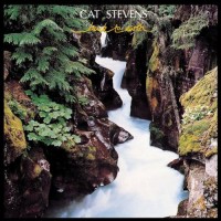 Purchase Cat Stevens - Back To Earth
