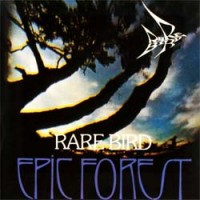 Purchase Rare Bird - Epic Forest