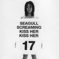 Purchase Seagull Screaming Kiss Her Kiss Her - 17