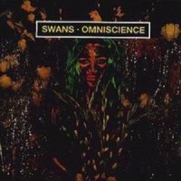 Purchase Swans - Omniscience
