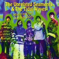 Purchase The Unrelated Segments & The Tidal Waves - Where You Gonna Go (1966-1968)