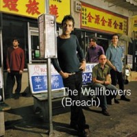 Purchase Wallflowers - Breach