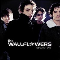 Purchase Wallflowers - Red Letter Days