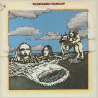 Purchase Turnquist Remedy - Iowa By The Sea